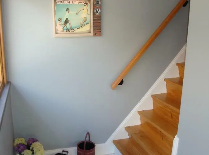 Vinha * Arco da Calheta (Madeira)