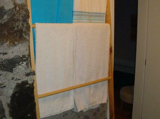 Vinha * Arco da Calheta (Madeira)